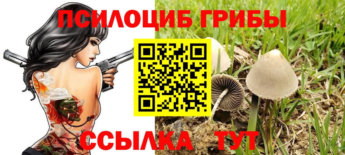 Псилоцибиновые грибы прущие грибы Ярцево